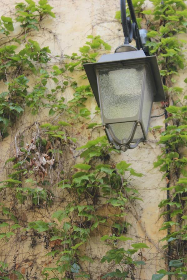 La Cour Villa Lourmarin Buitenkant foto